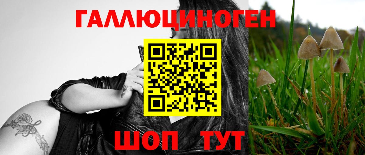 Коркино  Галлюциногенные грибы Psilocybe  Вход с VPN  Псилоцибиновые грибы MAGIC MUSHROOMS 